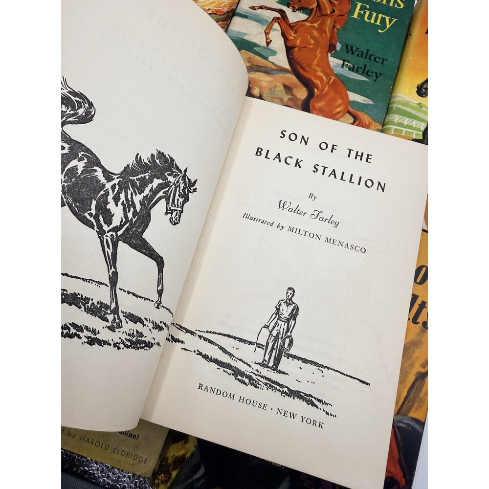 8 : 40s 50s Walter Farley The Black Stallion Novel Book Set Sulky Filly Satan + - Picture 9 of 16